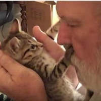 【動画】飼い主さんのキスにキレた子猫