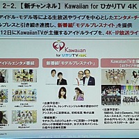 Hawaiian for ひかりTV 4Kの編成