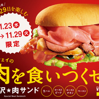 サブウェイ、4種類の肉を1度に味わえる「贅沢★肉サンド」発売 画像