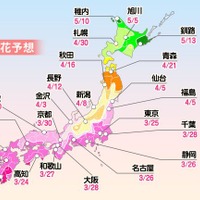 来週末、福岡・高知で桜開花か