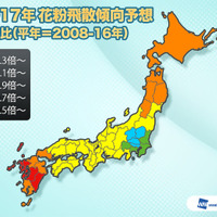 ヒノキ花粉症の方はご注意を！西～東日本はまもなくヒノキ花粉の飛散量がピークに 画像