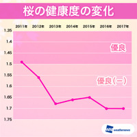 日本の桜が危ない？！健康度は昨年に続き過去最悪を継続 画像