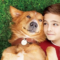 犬と人間のラブストーリー、映画『僕のワンダフル・ライフ』特別映像が公開！ 画像