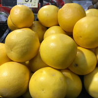 iPhone 7で撮影したグレープフルーツ。黄色がややあっさりとするが、見た目にはより近い印象