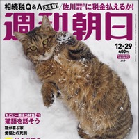 95年の歴史で初めて表紙が猫に！明日19日発売の「週刊朝日」は丸ごと一冊が猫だらけ 画像