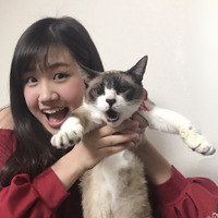 GEM・南口奈々、猫の日に愛猫カット公開！猫愛が止まらない 画像