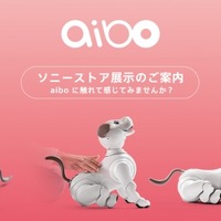 【先週の注目ニュース】Apple新宿オープンに行列／ソニーのロボット「aibo」店頭販売／楽天のキャリア参入が決定