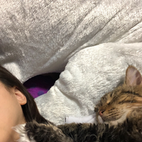 松井玲奈と愛猫・ノヴァの添い寝ショットに反響