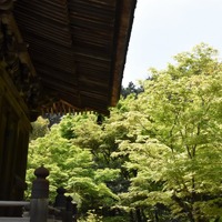歌人が歌に詠んだ小倉山の自然を感じることができる
