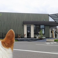 【ワンコとお出かけ Vol.15】ドッグカフェデビュー