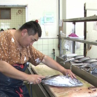 一流料理人たちがこぞって魚を欲しがる魚店「サスエ前田魚店」に『情熱大陸』が密着 画像