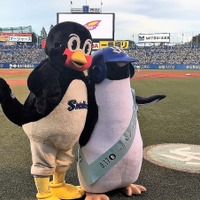 (c)2018 森見登美彦・KADOKAWA／「ペンギン・ハイウェイ」製作委員