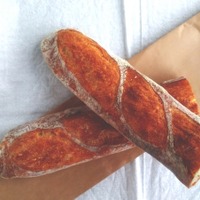 「パン・オブ・ザ・イヤー2018」が発表！各賞を受賞したパンは？