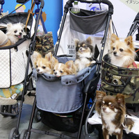 人気のペットイベント「インターペット」が大阪で初開催決定