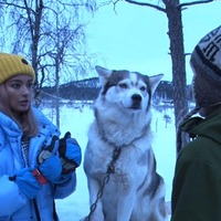 ローラ、83頭の保護犬と暮らす女性に会うため極寒のフィンランドへ 画像