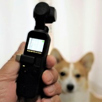 【ワンコとお出かけ　Vol.31】スタビライザー付き小型カメラ「DJI Osmo Pocket」はワンコ撮影に向いている？ 画像