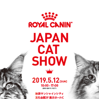日本初！大型キャットショー「ジャパンキャットショー」が5月12日開催 画像
