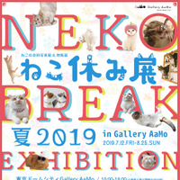 人気猫の写真展＆物販展「ねこ休み展 夏 2019」が7月12日スタート