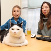 【ペットと出勤できる会社】“猫とともに働く”IT企業「ファーレイ」 画像