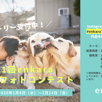 enkara、ドッグフォトコンテスト開催！第一回テーマは“犬と子どもの日常” 画像