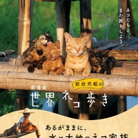 （C）「劇場版 岩合光昭の世界ネコ歩き2」製作委員会 （C）Mitsuaki Iwago