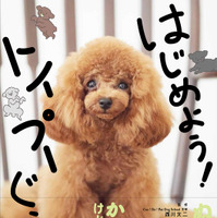 トイプードル飼育書『はじめよう！トイプーぐらし』発売！宇野樹宅の愛犬“トロちゃん”が表紙 画像