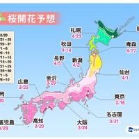 桜開花トップは東京で3月18日予想！全国的に平年より早い傾向......ウェザーニューズ「第二回桜開花予想」