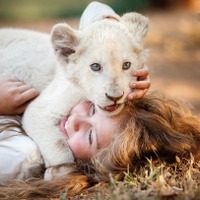 モフモフのホワイトライオンがキュートすぎ！映画『ミアとホワイトライオン』特別映像解禁 画像