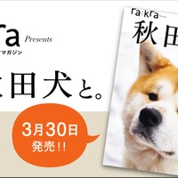 秋田犬の魅力が詰まったムック本『秋田犬と。』30日発売！会える宿も紹介