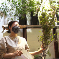 野山に咲く花だけを売る京都の専門店「花屋みたて」人気の秘密とは？.....『セブンルール』 画像
