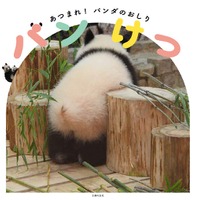 パンダのお尻フォーカスの写真集『パンけつ』緊急重版決定 画像