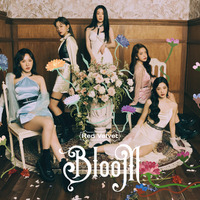 Red Velvet Japan 1st Full Album『Bloom』DVD
