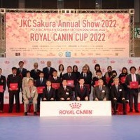 「ロイヤルカナン・カップ2022／JKCサクラ・アニュアル・ショー2022」