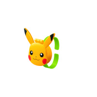 （C）Nintendo･Creatures･GAME FREAK･TV Tokyo･ShoPro･JR Kikaku （C）PokémonTM, （C）, and character names are trademarks of Nintendo.
