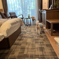 【宿泊レポート】軽井沢で愛犬と快適に過ごす！一度は泊まってみたい「ルシアン旧軽井沢」