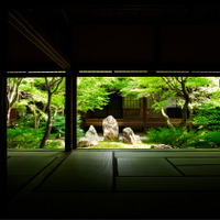 「そうだ京都、行こう。」2年半ぶりにTVCM放映！建仁寺の映像で“涼”を届ける 画像