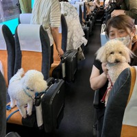 【GO WITH わんこツアー】わんこと一緒に機内に初搭乗！長崎のリゾート地へ～1日目
