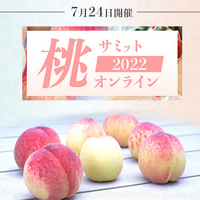 「4大産地の桃食べ比べセット」発売！「桃サミット2022」でプロのカッティングやレシピを学ぼう