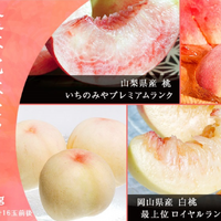 「4大産地の桃食べ比べセット」発売！「桃サミット2022」でプロのカッティングやレシピを学ぼう