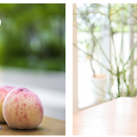 「4大産地の桃食べ比べセット」発売！「桃サミット2022」でプロのカッティングやレシピを学ぼう