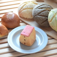 懐かしいし可愛い…！「クッキーとびばこパン」大阪、阪神梅田本店で期間限定販売！
