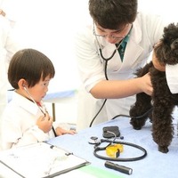 動物と触れ合える「2022動物感謝デー in JAPAN “World Veterinary Day”」開催 画像
