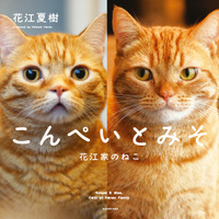 人気声優・花江夏樹が愛猫の姿を撮り下ろした写真集発売決定 画像
