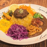 漢方薬膳カレー「もうやんスパイスカレー　ザ・リッチ」（1,320円）