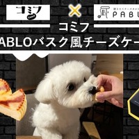愛犬と楽しむバスクチーズケーキ（734円）