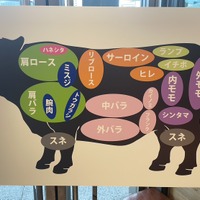 肉の部位を紹介する図：撮影　渡邉