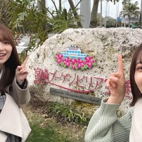 『【Vlog】Go To サクラ旅　～全国の桜名所巡り　時々メシ in 宮崎～』