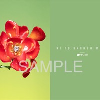 あいみょん、朝ドラ『らんまん』主題歌「愛の花」シングル化！4月5日先行配信＆6月7日CDリリース