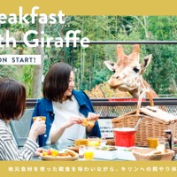 動物園併設グランピング施設が“キリン”と一緒に朝食を楽しめるプランを再開 画像