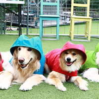 雨天散歩する愛犬写真をインスタに！デロリアンズが「楽しい雨の日散歩」キャンペーンを実施 画像